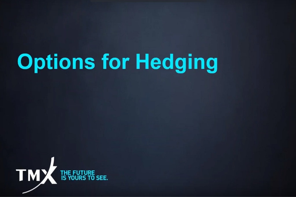 Options as a Hedging Strategy