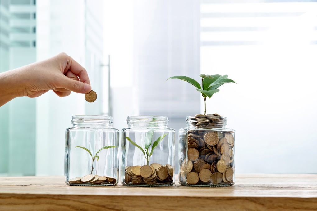 A person puts a coin in a pot where a plant is growing.
